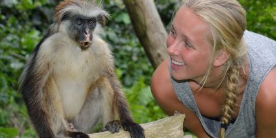 Jozani-Forest-Tour - Spark & Paradise Safaris